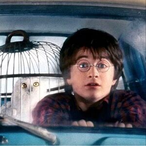 Meet your Posher, Lanice